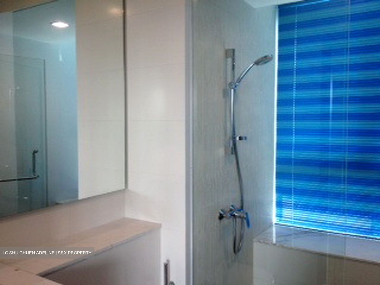 Double Bay Residences (D18), Condominium #562054591